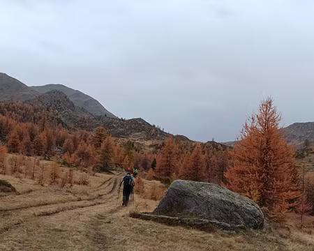 012 dimanche - montée au col de Cristol