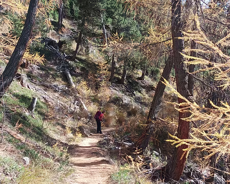 057 redescente en forêt