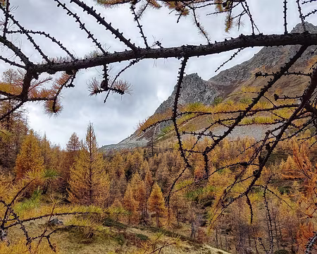 029 Rocher du Raisin