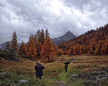053 Vers l'est. Le Queyrellin.