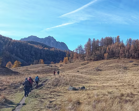 075 En vue du Grand Aréa.