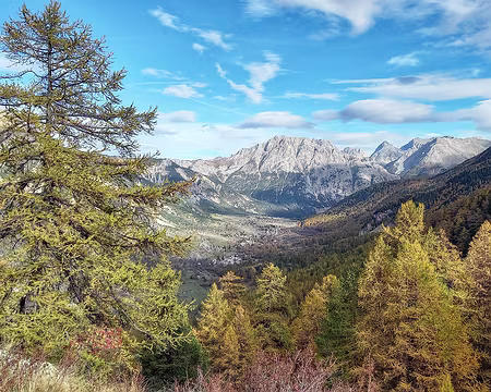 092 A 3 mn d'intervalle on passe du roux au jaune.