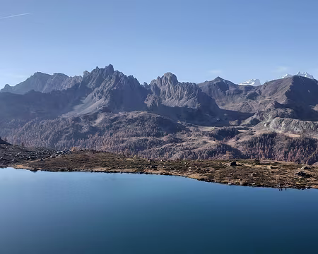 100 Lac du Serpent 2460 m.