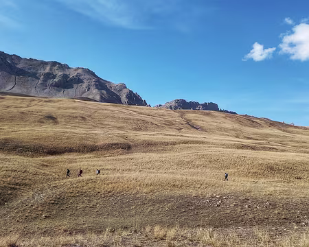 186 Vallon des Thures, pastoral.