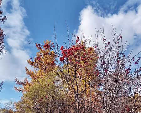 193 Passage par le marais de Névache entre Ville Basse et Ville Haute.