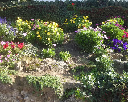 P1150847 Rocaille fleurie