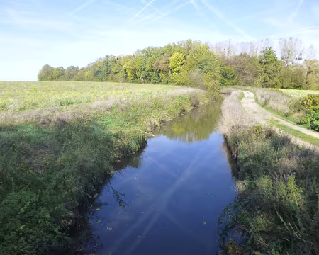 P1150855 Canal de la Thérouanne
