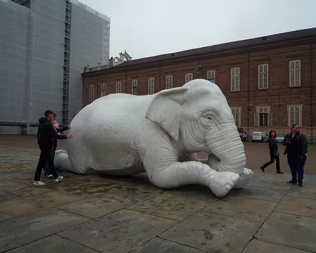 P1310822 Et que je te gratte les fesses !