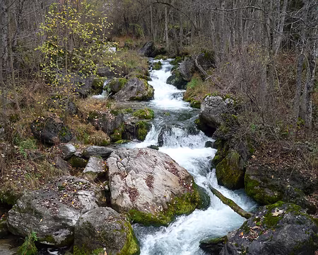 P1310889 La rivière Maïra