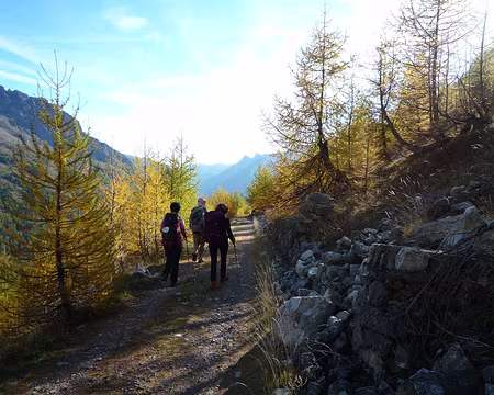 P1310902 Sur la route militaire