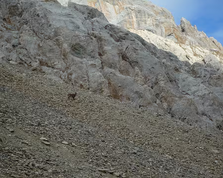 P1310928 Finalement on aura rencontré un être vivant aujourd'hui !