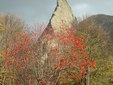 Bernadette Bernadette P, détail sortie