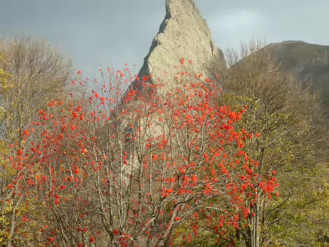 Bernadette Bernadette P, détail sortie
