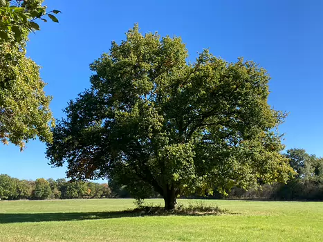 2022-10 RDV automne - Gazeran Coignières