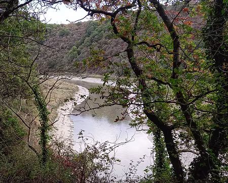 18 Les vasières sont riches en micro-organismes et constituent un bon abri pour les oiseaux.