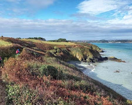 25 Baie d’Yffiniac. La Réserve Naturelle inclut la Baie de Morieux et celle d’Yffiniac.