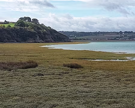 26 Anse d’Yffiniac. Réserve Naturelle, elle abrite de nombreux oiseaux en hibernage.