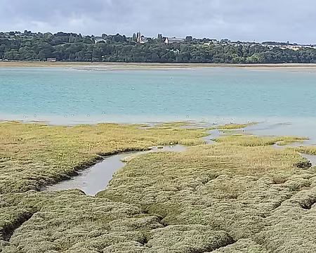 27 Nombreux prés salés