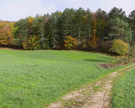 P1140558 Sur le sentier de découverte de la Réserve Naturelle de Chalmessin.
