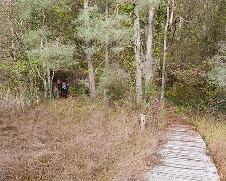 P1140565 Dernier passage au-dessus de cet espace humide et fragile.