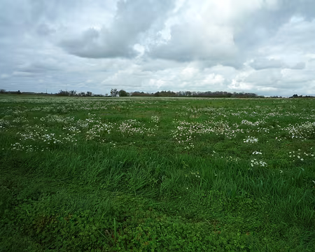 P1320064 Difficile de se croire en automne !