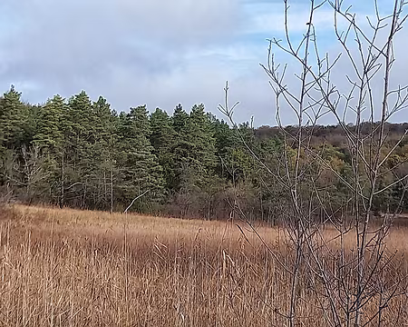 25 Réserve Naturelle de Chalmessin.