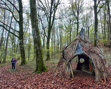 27 Sur le sentier de découverte