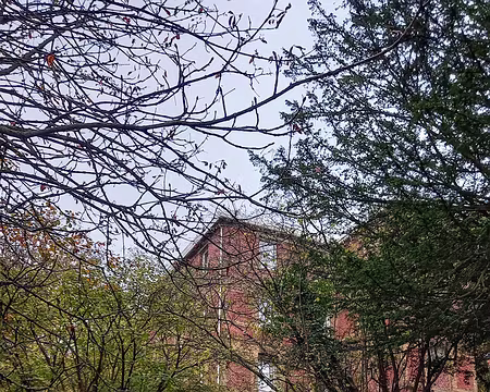 29.jpeg Notre gîte à Dieppe. Dimanche 20 novembre 22 .