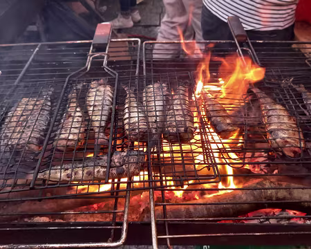 53.jpeg Derniers harengs