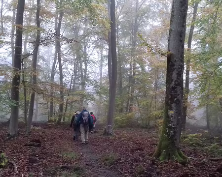 001 Départ de Fontainebleau pour une boucle de 18 km dans la forêt, via la tour Denecourt, la grotte aux Cristaux, et le chêne du Souvenir
