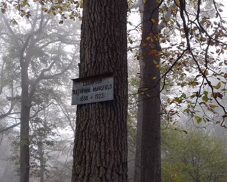 007 Au carrefour Katherine Mansfield