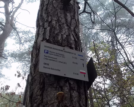 011 Le sentier Denecourt-Colinet n° 13