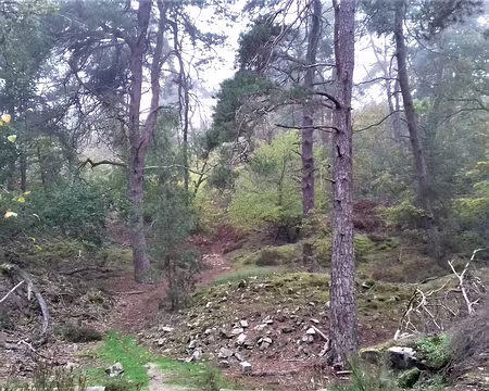 027 Vestiges d’une ancienne exploitation de grès