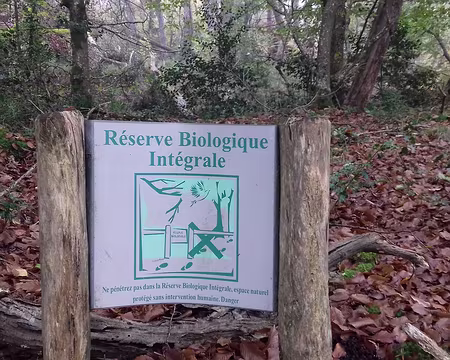 034 La réserve biologique intégrale des Hauteurs de la Solle est une zone laissée en libre évolution