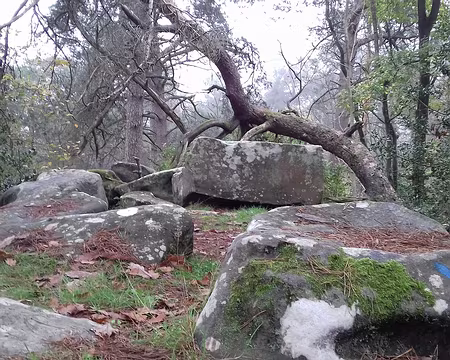 036 Sentiers bleus au milieu des blocs de grès