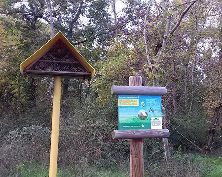 041 Merci Claude pour cette belle randonnée automnale dans la forêt de Fontainebleau