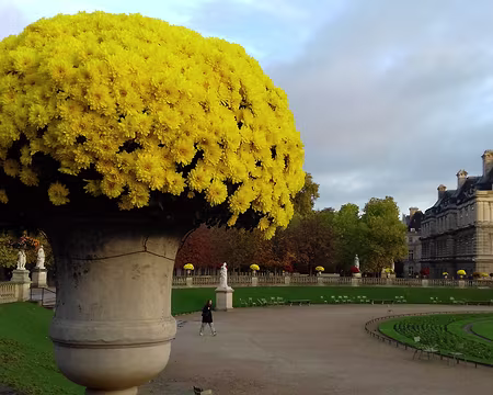 006 Fleurs de saison dans les jardins à la française
