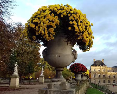 008 Palais, chrysanthèmes, et reines de France