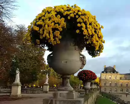 008 Palais, chrysanthèmes, et reines de France