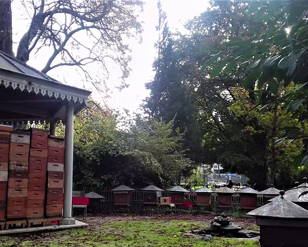 032 Le rucher-école du Luxembourg créé en 1856