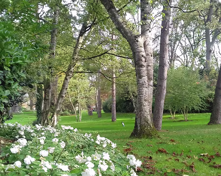 038 Autre vue du jardin anglais