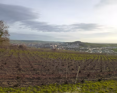 P1160124 Epernay au pied du vignoble