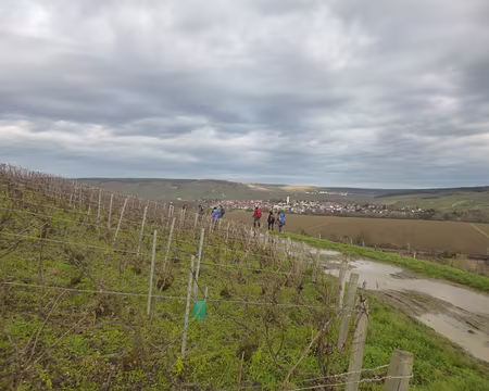 P1160131 Au loin, le village de Damery