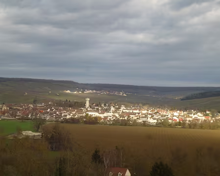 P1160132 Damery et en arrière-plan le village de Fleury-la-Rivière