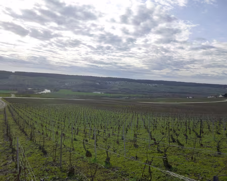 P1160138 Au loin, Boursault