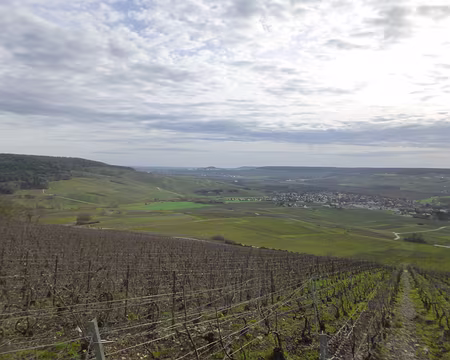 P1160139 Vignoble au-dessus de Damery
