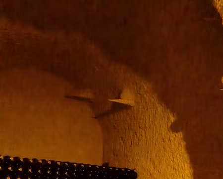 P1160158 Bouteilles de Champagne et fossiles