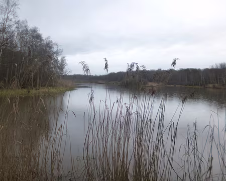 P1160185 Le Grand Etang