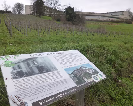 P1160187 L'Hôtel Royal Champagne (2017) domine le vignoble