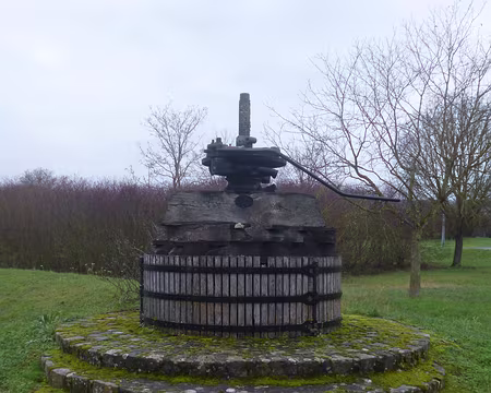 P1160192 Jolie rando dans le vignoble sparnacien. Merci à Marylise.
